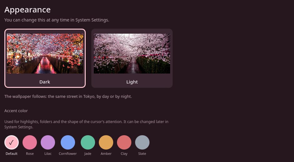 The Appearance screen, with Dark and Light choices and a row of accent colors