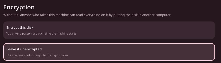 The Encryption screen with the choices Encrypt this disk and Leave it unencrypted