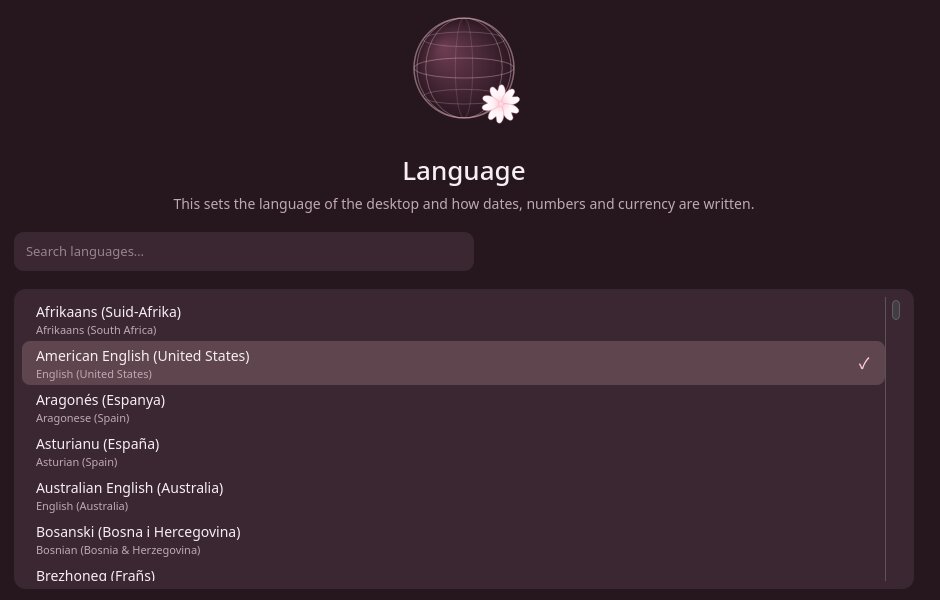 The Language screen with American English selected