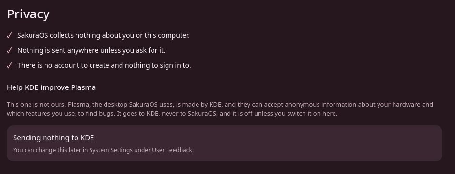 The Privacy screen, with the option to send information to KDE switched off