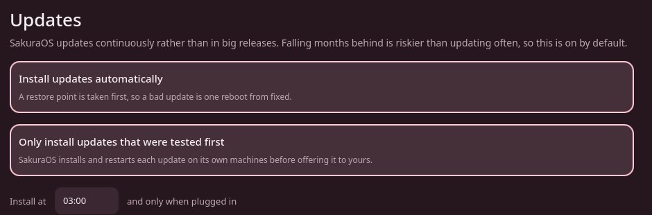 The Updates screen, with automatic updates and tested updates both on, at 03:00 when plugged in